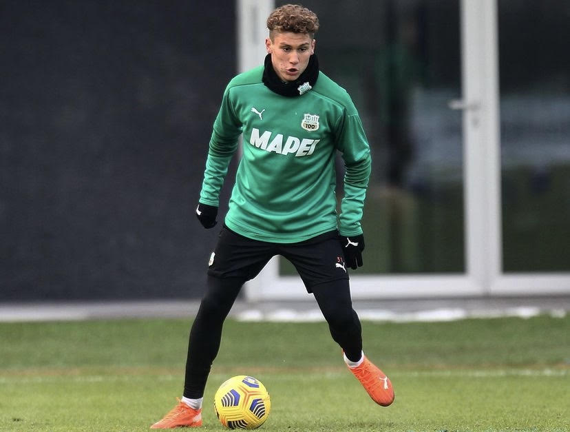 piccinini