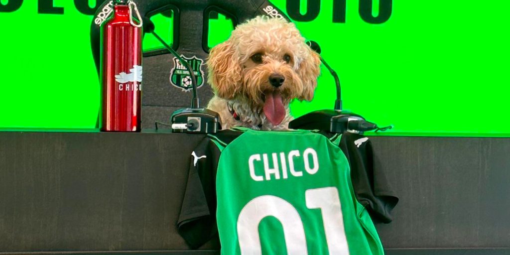 chico